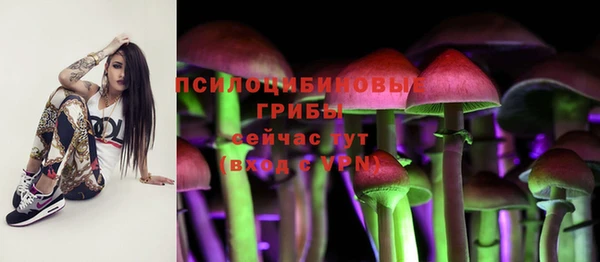 мескалин Белокуриха