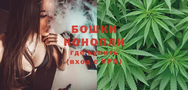 Альфа ПВП Пересвет