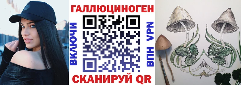 Псилоцибиновые грибы Psilocybe  как найти наркотики  Сычёвка 